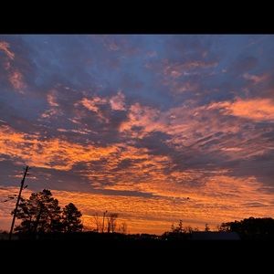 Meet your Posher, Craig